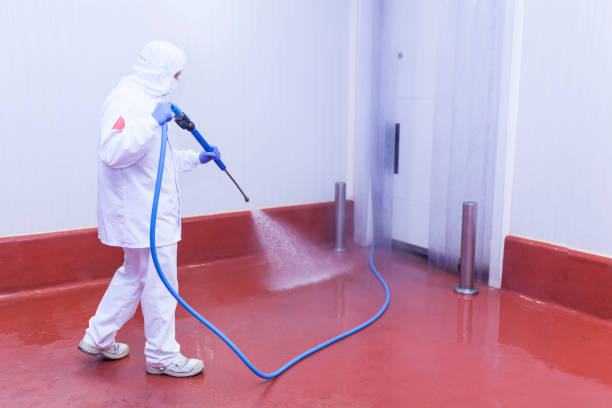 Best Solar Panel Cleaning  in La Vernia, TX